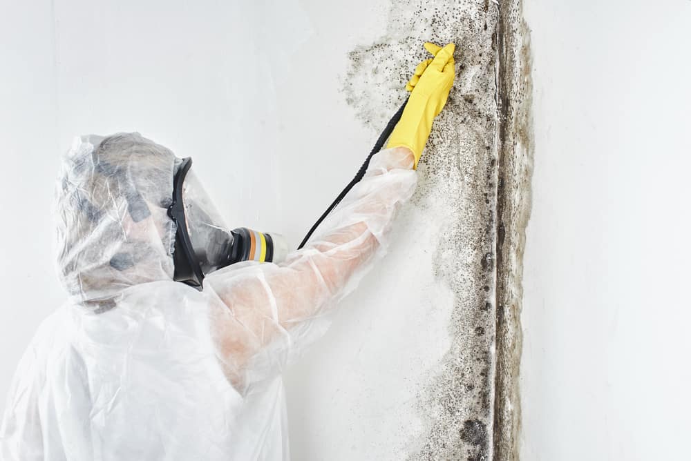 Can You Stay in the House During Mold Removal?